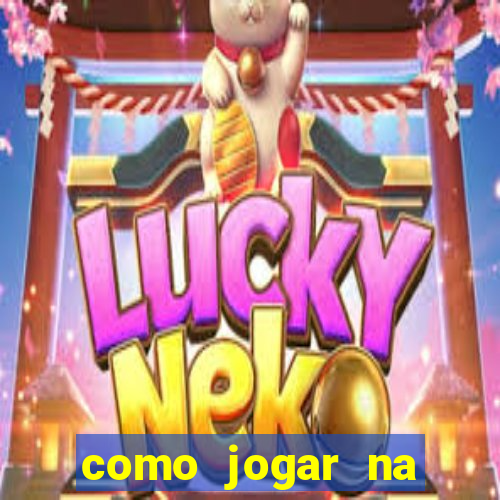 como jogar na lotinha do jogo do bicho